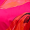 Pink And Orange Floral Print One Sleeve Wrap Midi Dress